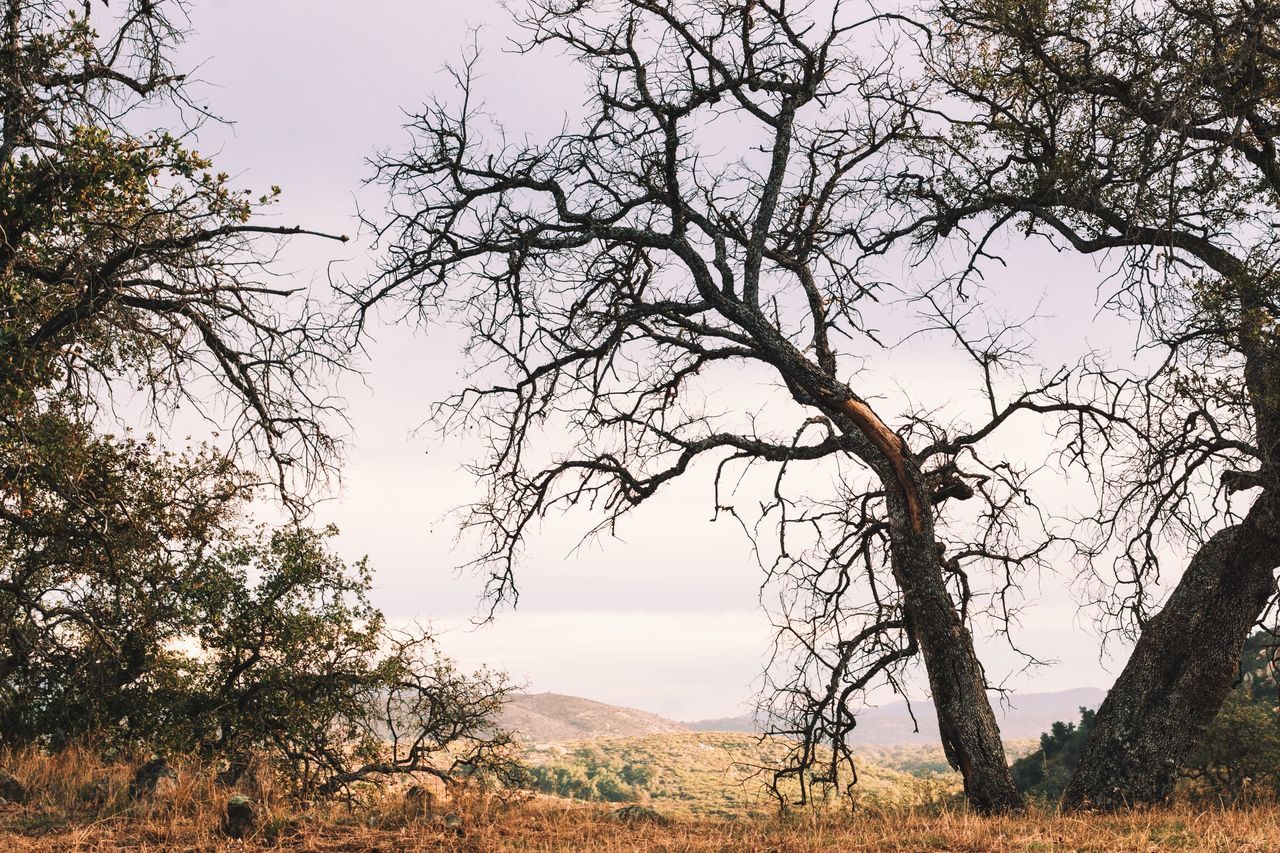 Santa Ysabel, Ca