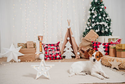 Portrait of woman sitting on sofa at home