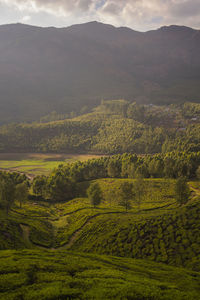 Scenic view of field against mountains