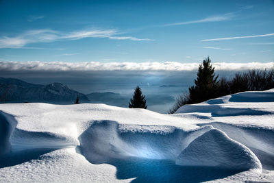 Snow covered trees against sky