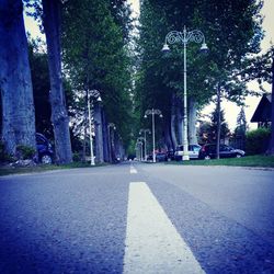 Road passing through forest