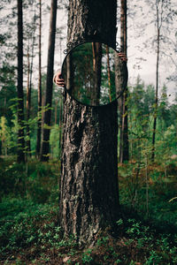 Tree trunk amidst plants in forest