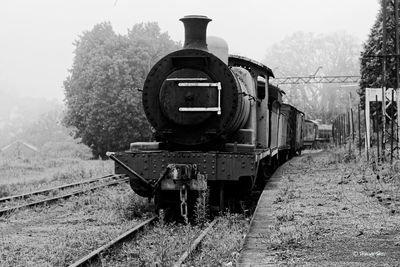 Train on railroad track by trees against sky