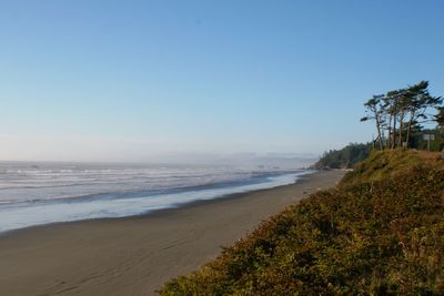 Scenic view of beach and sea against sky at olympic peninsula