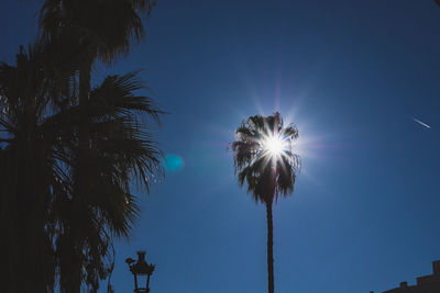 Low angle view of coconut palm tree against bright sun