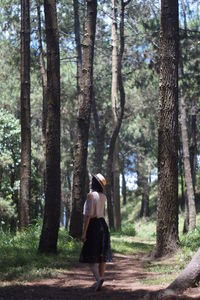Rear view of woman walking amidst trees in forest