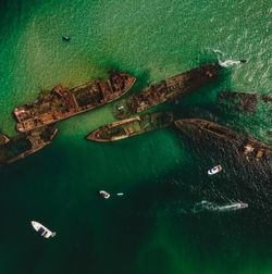 High angle view of a turtle in sea