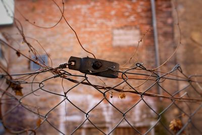 Close-up of chainlink fence