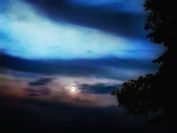 Low angle view of silhouette trees against sky at night