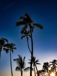 Low angle view of silhouette coconut palm tree against clear blue sky