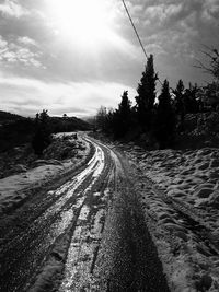 Dirt road amidst trees against sky