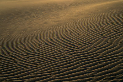 Full frame shot of sand dune