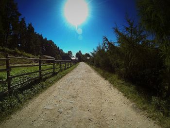 Empty footpath amidst trees on sunny day