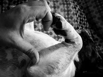 Close-up of hand on bed at home