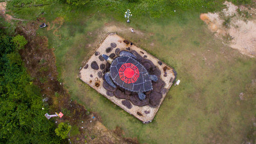 High angle view of gigant sea turtle statue in park