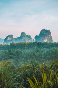 Scenic view of mountain against sky