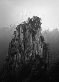 Low angle view of birds in flight