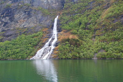 Scenic view of waterfall in forest