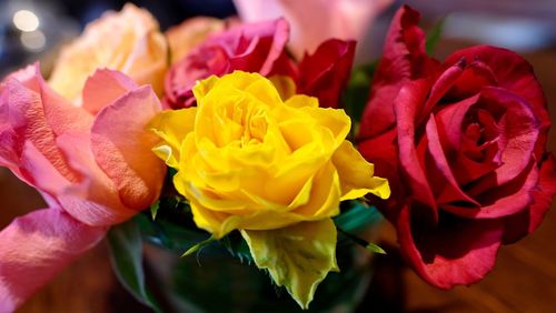 Close-up of multi colored rose bouquet