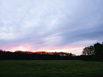 Silhouette trees on field against sky at sunset