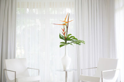 Orange flower on table between two armchairs