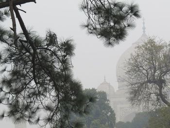 Built structure with trees in background