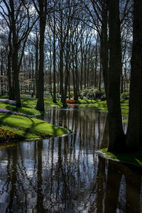 Scenic view of lake in forest