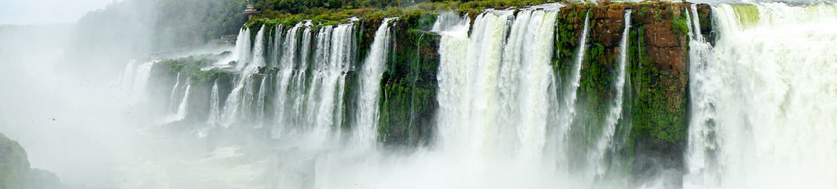 Close-up of waterfall against plants