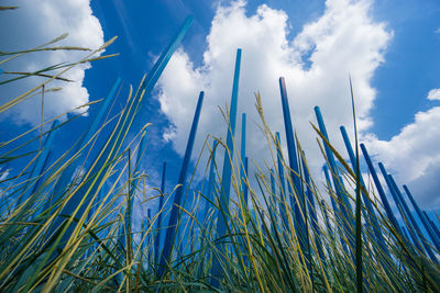 Low angle view of tall grass on field against sky