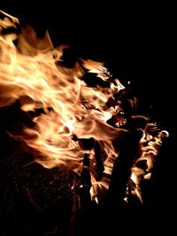 Close-up of fire in the dark