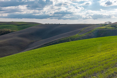 Scenic view of agricultural field against sky