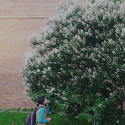 Full length of woman standing by flower tree