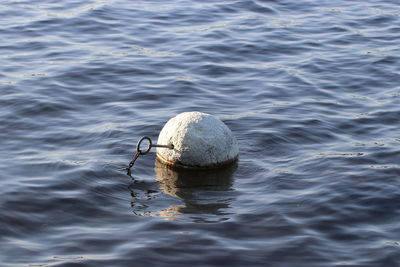 High angle view of buoy in sea