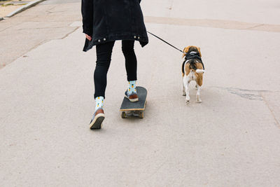 Cropped unrecognizable female skating on skateboard on asphalt road and walking dog on leash in park