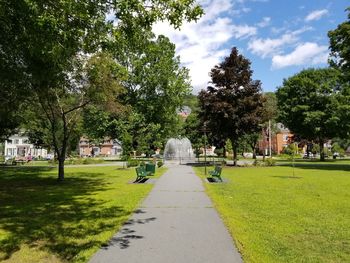 Trees in park against sky in city