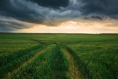 Scenic view of field against sky during sunset