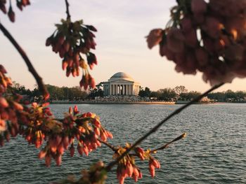 Jefferson memorial against sky by lake seen through branch