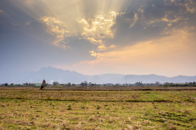 Scenic view of agricultural field against sky during sunset