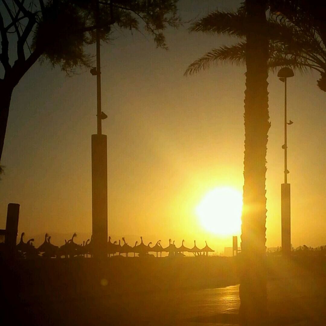 sunset, silhouette, sun, palm tree, tree, tranquility, clear sky, orange color, scenics, tranquil scene, beauty in nature, nature, built structure, sea, sky, idyllic, water, architecture, tree trunk, sunlight