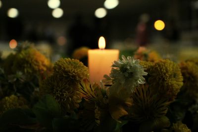 Close-up of illuminated flower