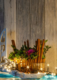 Potted plants on table against wall