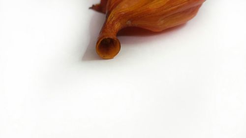 High angle view of pumpkin on white background