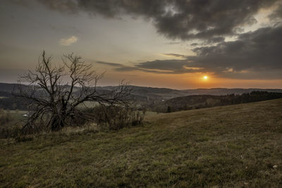 Scenic view of field against sky during sunset