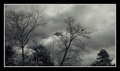 Low angle view of bare trees against cloudy sky