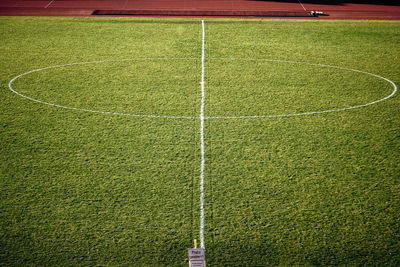 High angle view of grass