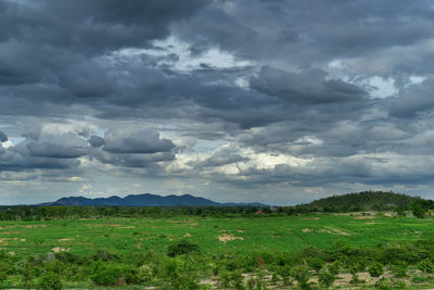 Scenic view of field against sky