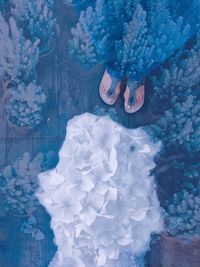 Low section of woman on blue flower