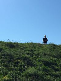 Scenic view of grassy field against clear blue sky