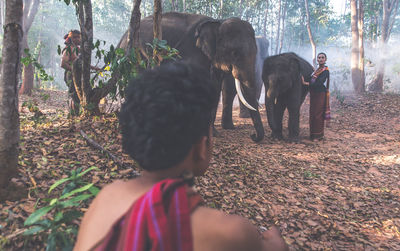 Couple with elephants in forest