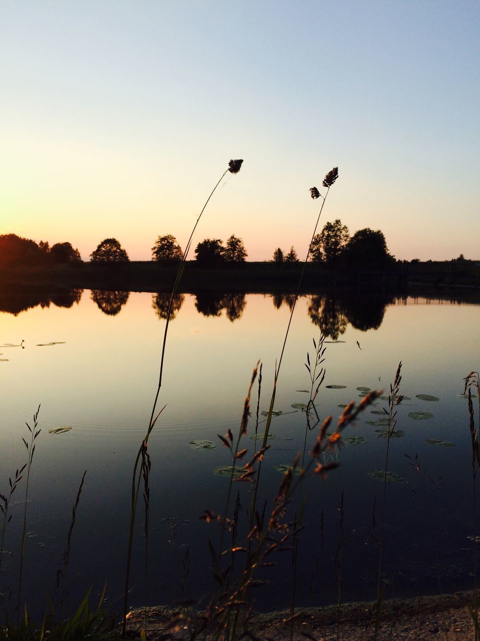 water, sunset, reflection, lake, tranquility, tranquil scene, scenics, clear sky, beauty in nature, silhouette, nature, plant, sun, sky, idyllic, standing water, copy space, lakeshore, calm, orange color